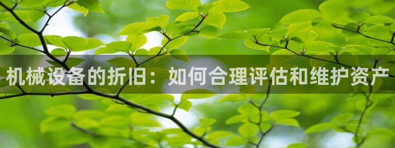九游老哥俱乐部官方网站