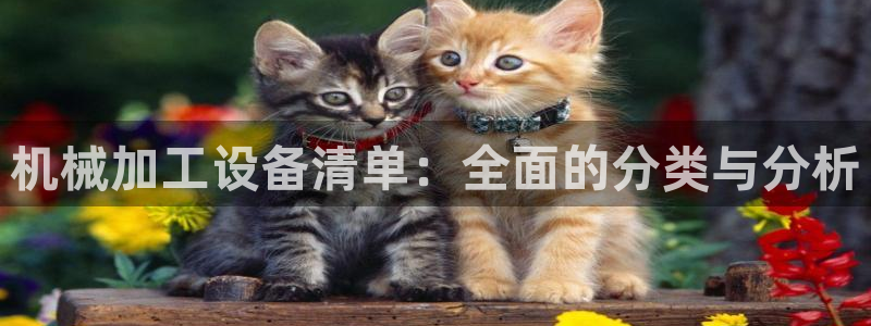 ag九游会官网网址