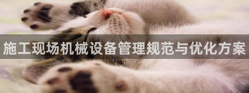 九游会是干嘛的软件