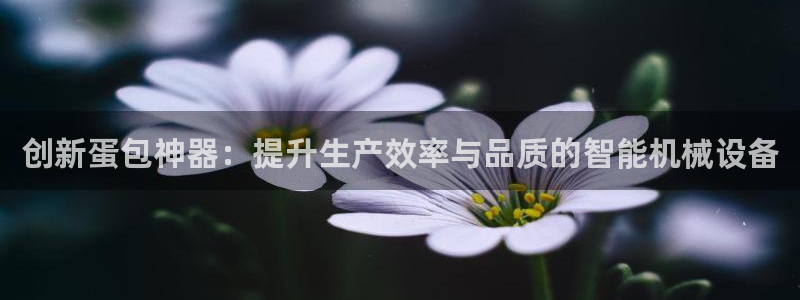 j9九游会永久域名