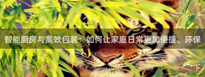 九游会线上平台吗