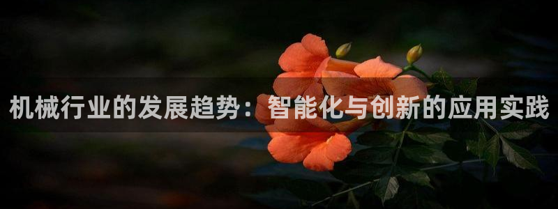 九游会的网址是多少