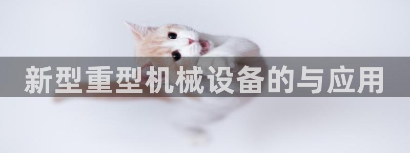 ag九游会集团