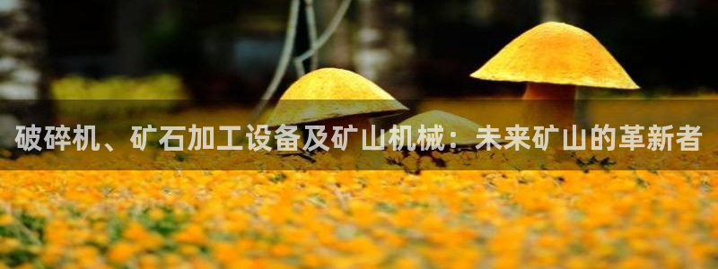 ag九游会j9j9