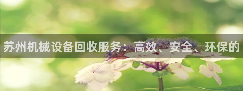 ag久游会