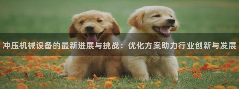 九游会平台ag