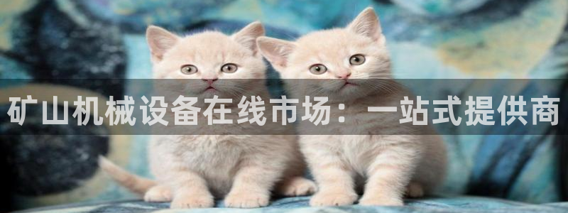 九游会官网登录中心官网