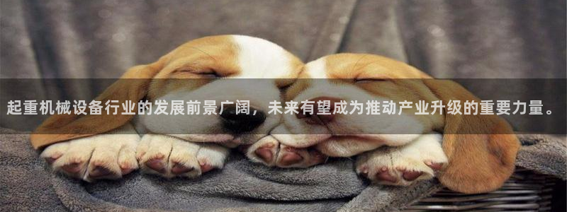 九游会官网 登录网站