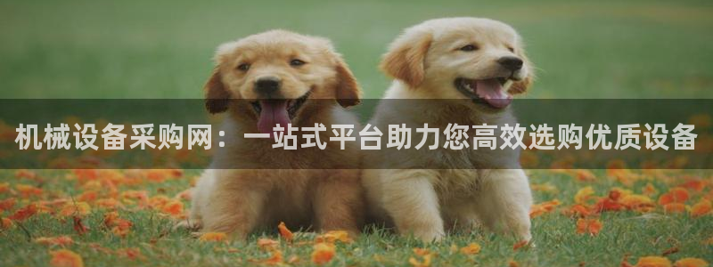 九游会官网登录中心入口