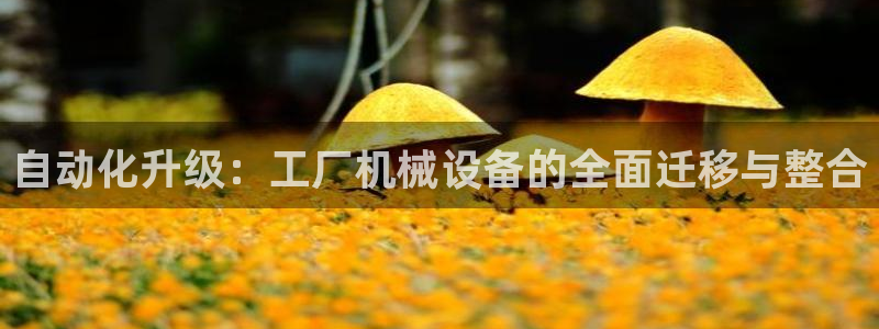 九游会集团新的选择