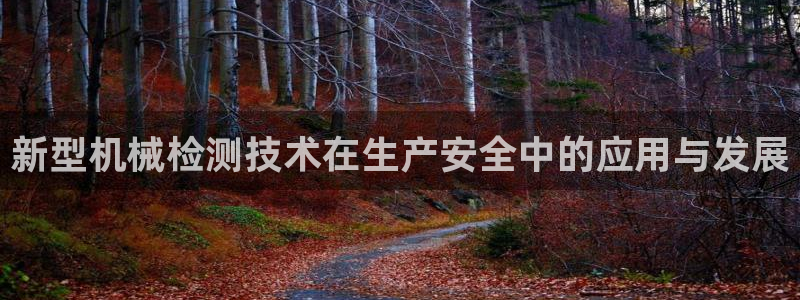 九游会是什么组织