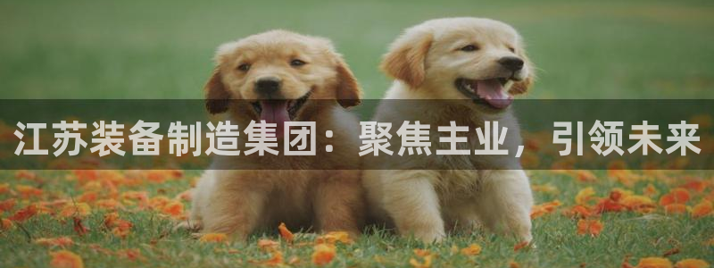 J9九游会强势登录