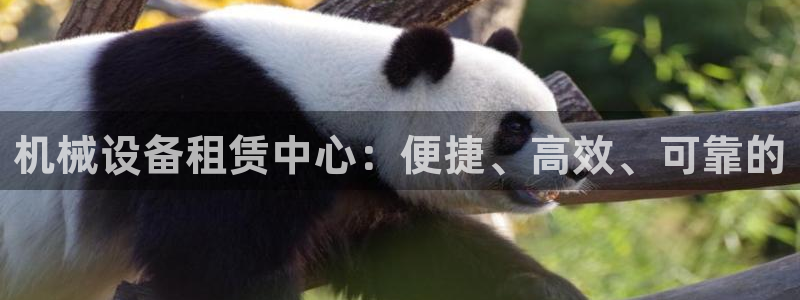 九游会首页官网：机械