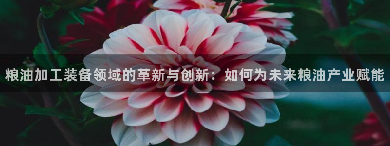 九游会官方网站登录